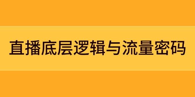 （14695期）直播底层逻辑与流量密码：定位模型+案例拆解，急速流承接与数据优化全攻略