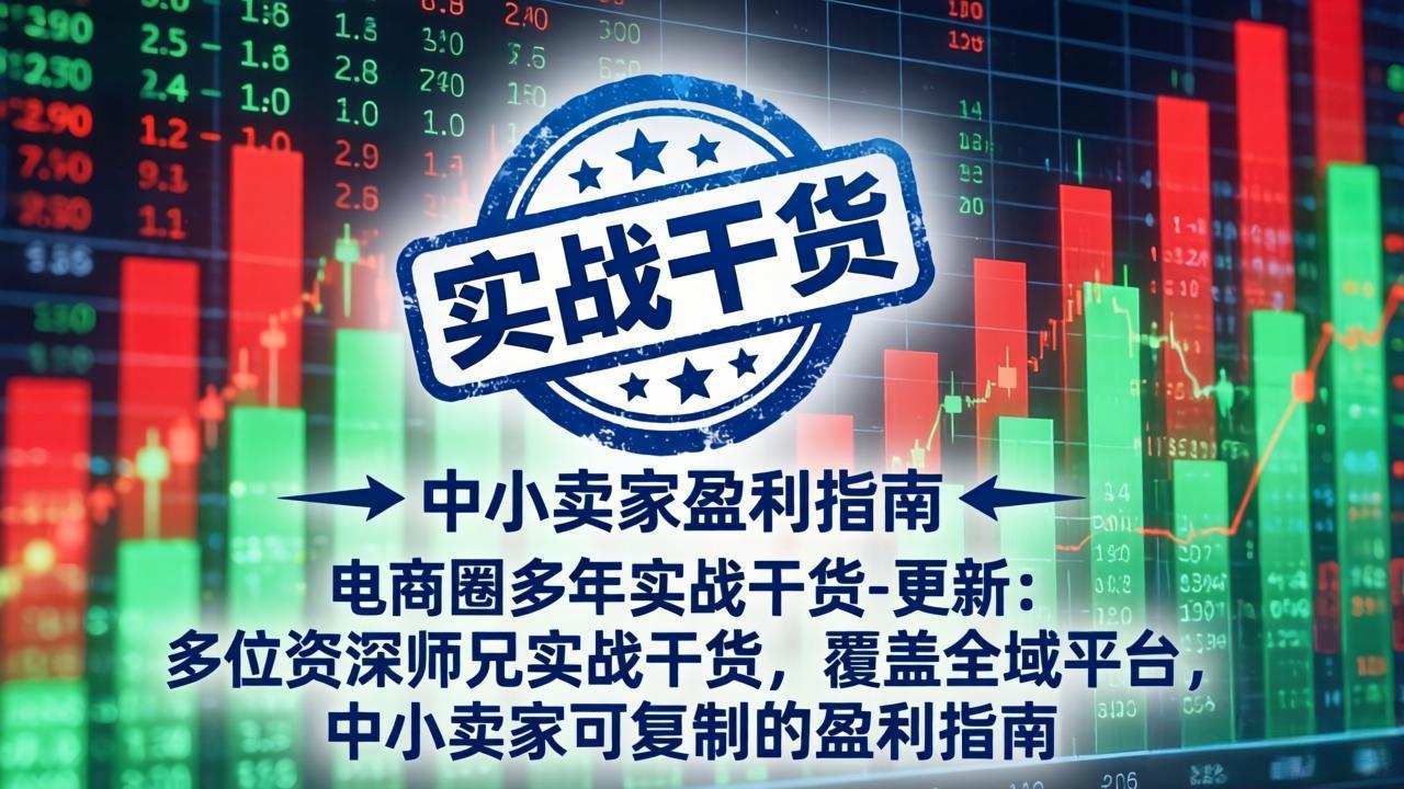 (18534期)电商圈多年实战干货-更新5月20:多位资深师兄实战干货/覆盖全域平台,中小卖家可复制的盈利指南