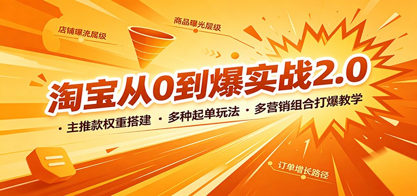 淘宝从0到爆实战2.0:主推款权重搭建,多种起单玩法,多营销组合打爆教学
